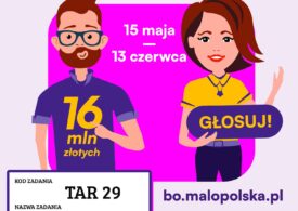 budżet obywatelski plakat