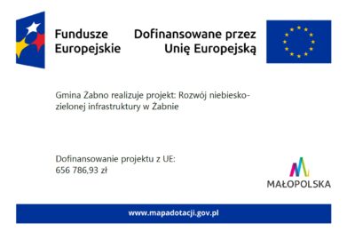 Dotacja na rozwój zielonej i niebieskiej infrastruktury