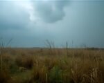meteo