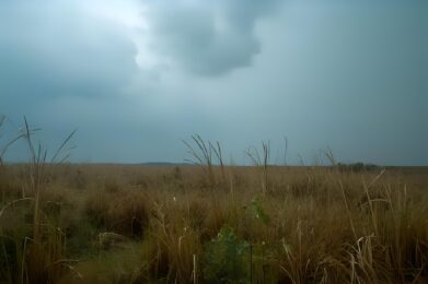 Ostrzeżenie meteorologiczne