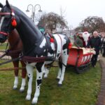 jarmark Bożonarodzeniowy w Żabnie