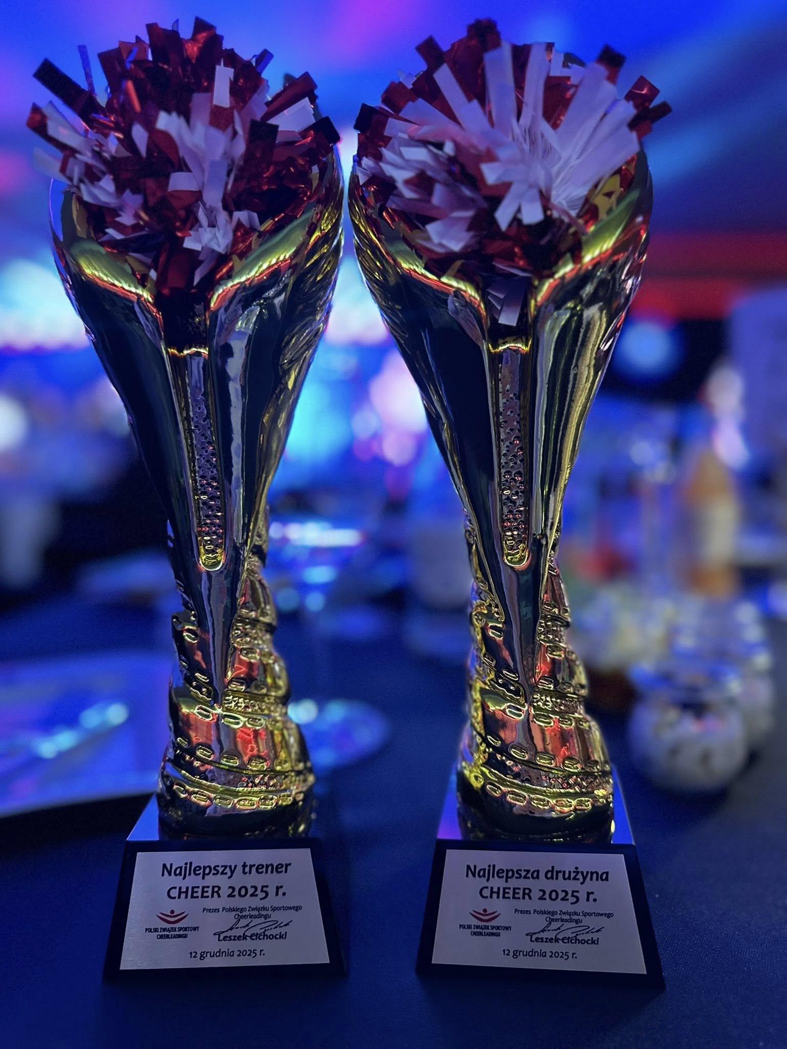 Agnieszka Wlezień i Zespół Voltage docenieni na gali cheerleadingu