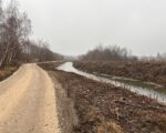 Kanał w Niedomicach