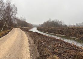 Kanał w Niedomicach