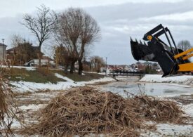 stawy Jana w Żabnie, czyszczenie
