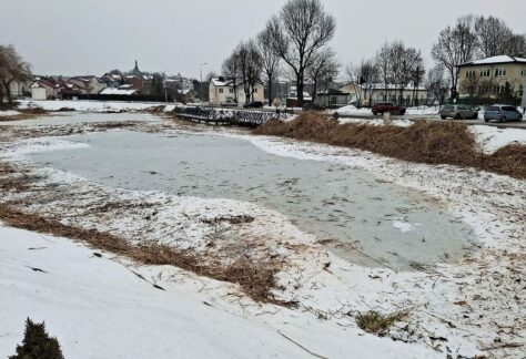 stawy Jana w Żabnie, czyszczenie