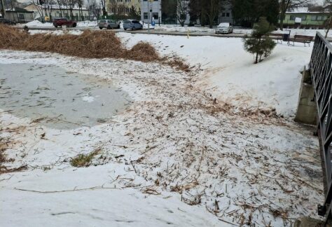 stawy Jana w Żabnie, czyszczenie