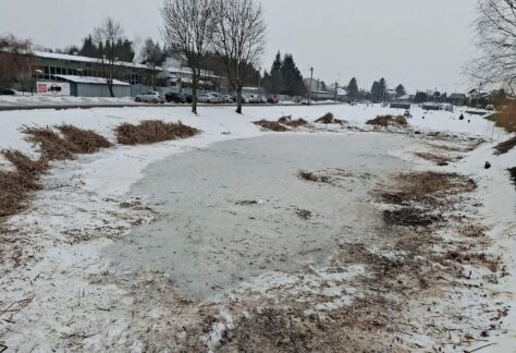 stawy Jana w Żabnie, czyszczenie