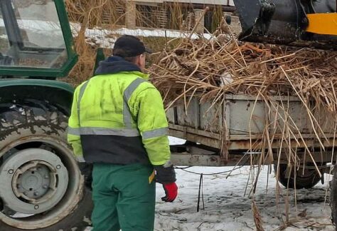 stawy Jana w Żabnie, czyszczenie