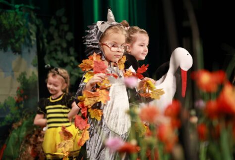 zając poziomka Żabo 2026