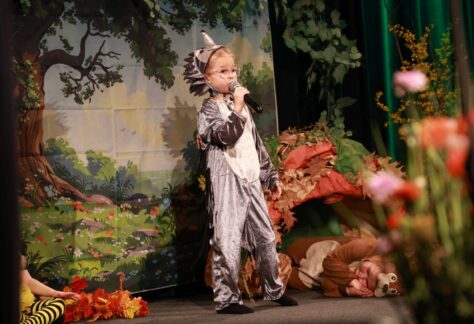 zając poziomka Żabo 2026