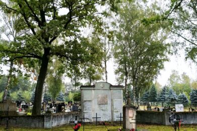 Prace pielęgnacyjne na cmentarzu wojennym w Żabnie